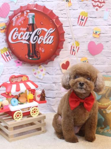 20230902フーちゃん